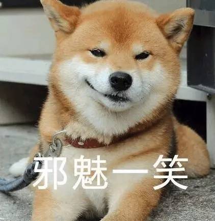 狗头